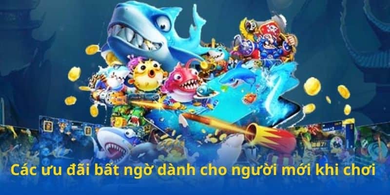 Các ưu đãi bất ngờ dành cho người mới khi chơi 