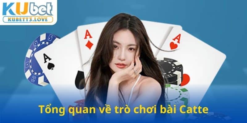 Tổng quan sơ bộ về trò chơi bài Catte