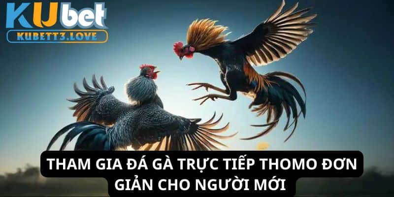 6 bước tham gia cực nhanh dành cho người mới bắt đầu