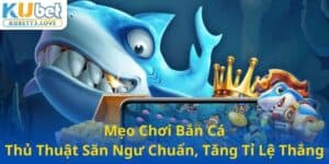 Chiến thuật bắn cá cao cấp từ những người chơi lão làng